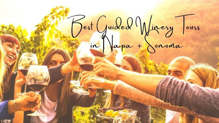 Best Winery Tours United States: An Analytical Guide for the Discerning Traveler
